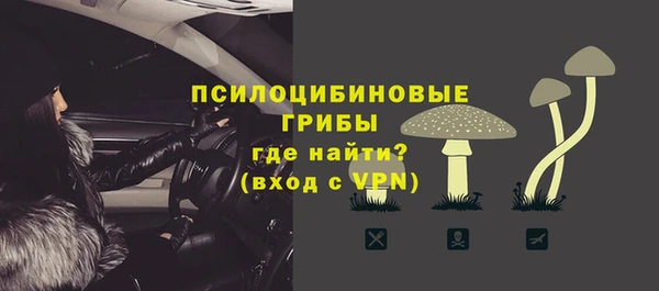 прущие крисы Армянск