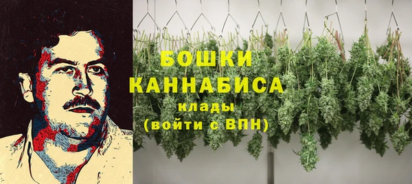 прущие крисы Армянск