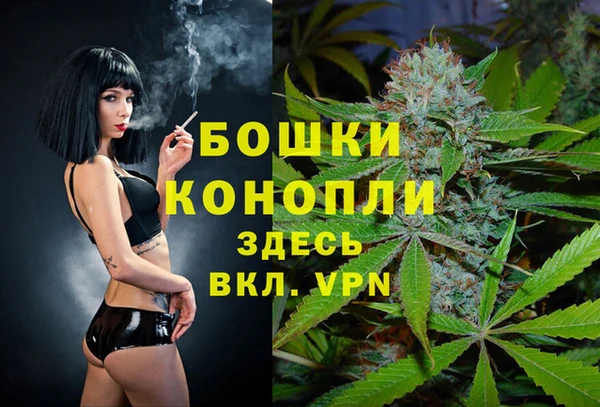 спиды Аркадак